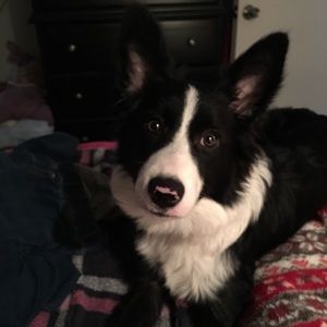 Meet your Posher, Wendy